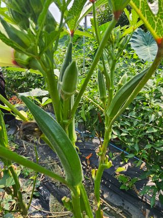 Bmww2226님의 O학년 △반 이세요? · 참여글 작성글 사진