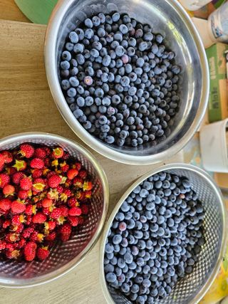 Bmww2226님의 O학년 △반 이세요? · 참여글 작성글 사진