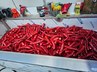 Bmww2226님의 O학년 △반 이세요? · 참여글 작성글 사진