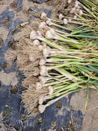 Bmww2226님의 O학년 △반 이세요? · 참여글 작성글 사진