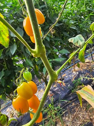 Bmww2226님의 O학년 △반 이세요? · 참여글 작성글 사진