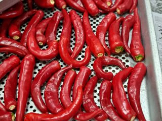 ♡♡♡님의 O학년 △반 이세요? · 참여글 작성글 사진