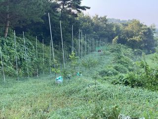 김회철님의 기타작물 · 자유게시판 작성글 사진