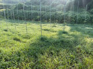 김회철님의 기타작물 · 자유게시판 작성글 사진