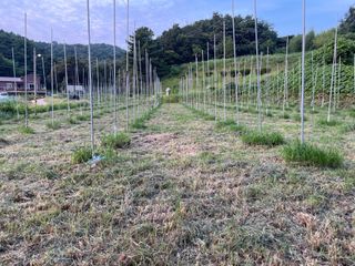 김회철님의 기타작물 · 자유게시판 작성글 사진