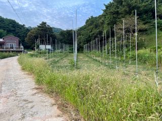 김회철님의 기타작물 · 자유게시판 작성글 사진