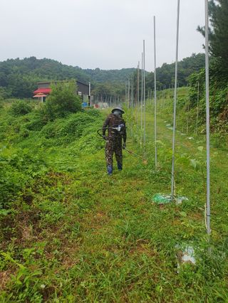 김회철님의 기타작물 · 자유게시판 작성글 사진