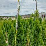 팜모닝 O학년 △반 이세요?·참여글 게시글 이미지