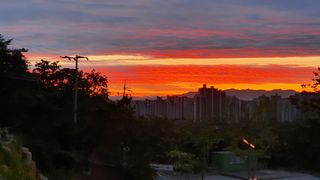 제주농부님의 우리동네 · 동네자랑 작성글 사진