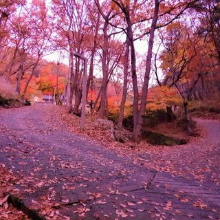 제주농부님의 우리동네 · 동네자랑 작성글 사진