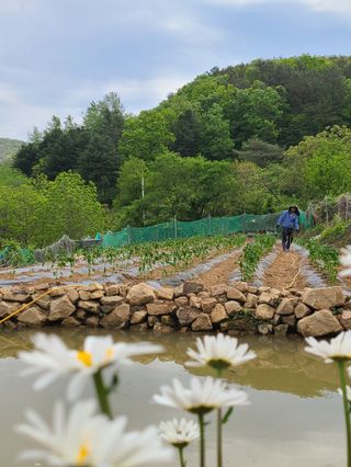 권태환님의 O학년 △반 이세요? · 참여글 작성글 사진