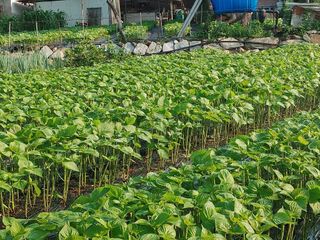 윤재하님의 O학년 △반 이세요? · 참여글 작성글 사진