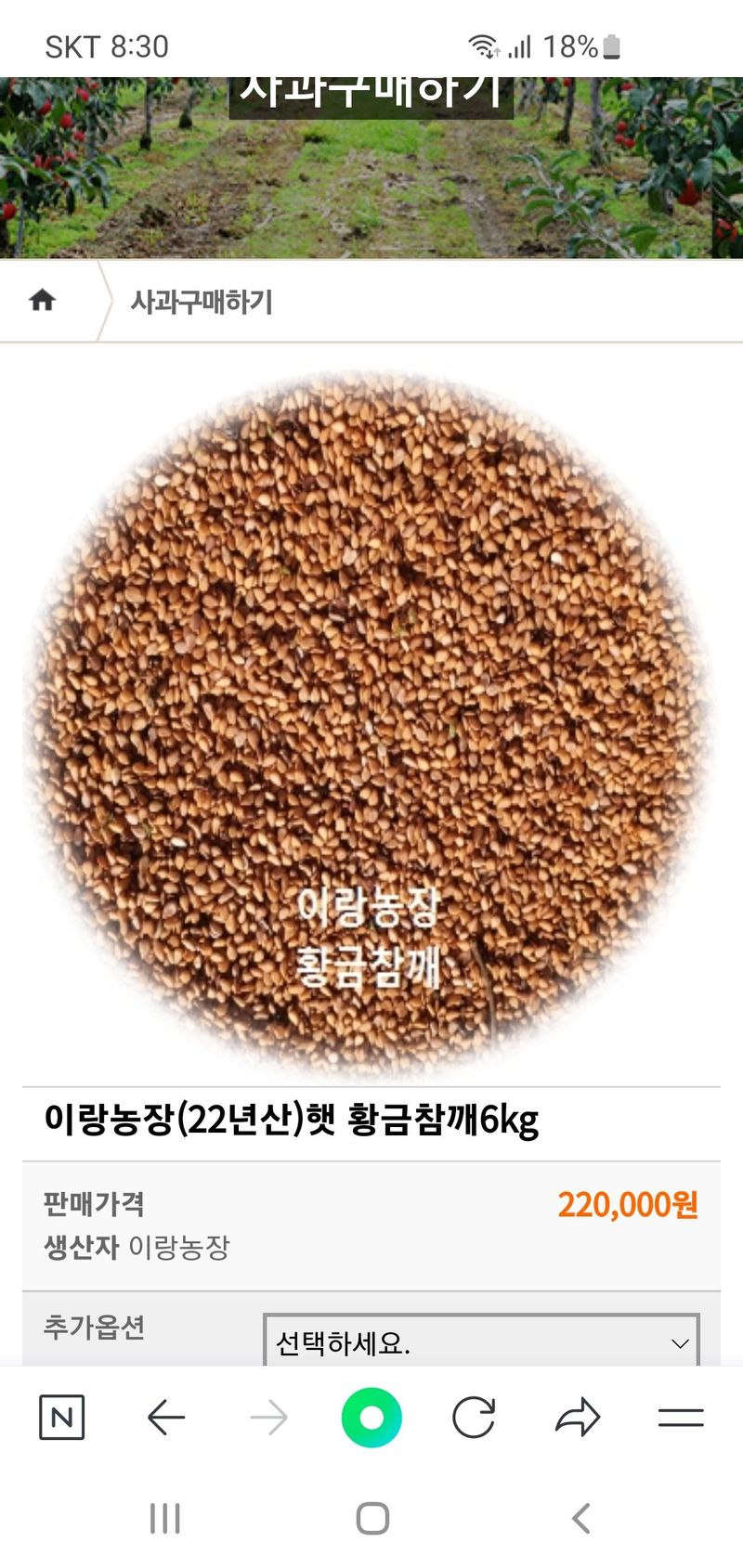 장터 상품 [24년 햇 황금참깨 6kg (180000)] 썸네일