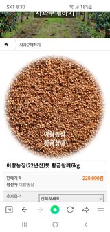 팜모닝 · 게시글 이미지