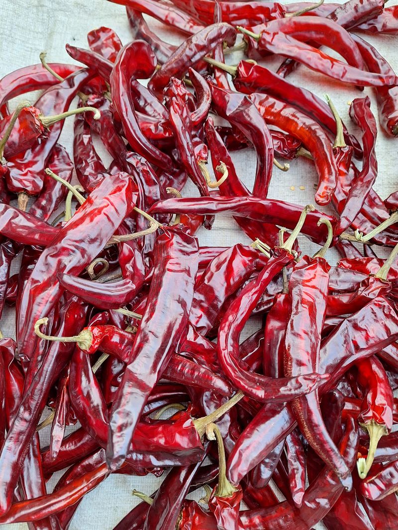 김가네농가님의 장터 판매 상품 [일반 건고추 ] 첨부 사진