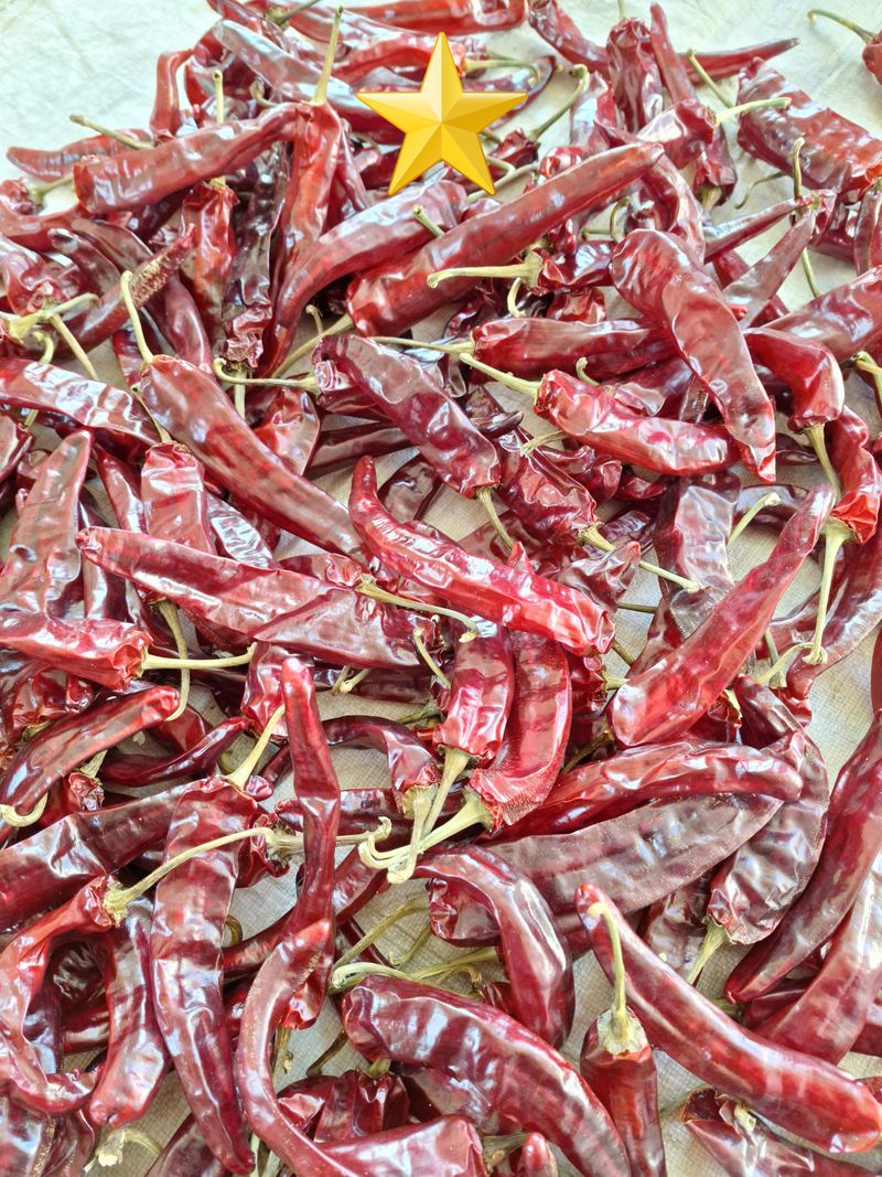 김가네농가님의 장터 판매 상품 [일반 건고추 ] 첨부 사진