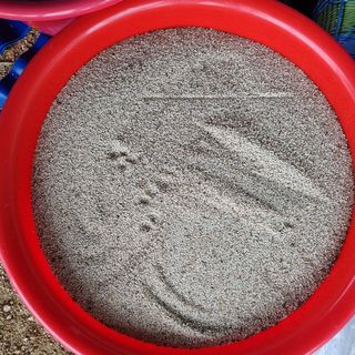 고구마20039님의 참깨 · 자유게시판 작성글 사진