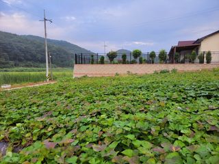 조현미님의 O학년 △반 이세요? · 참여글 작성글 사진