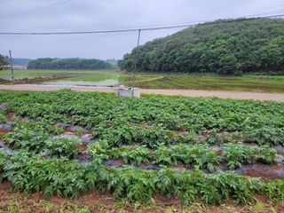 조현미님의 O학년 △반 이세요? · 참여글 작성글 사진