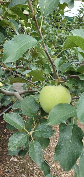 김귀분님의 O학년 △반 이세요? · 참여글 작성글 사진