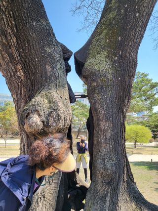 김미자님의 O학년 △반 이세요? · 참여글 작성글 사진