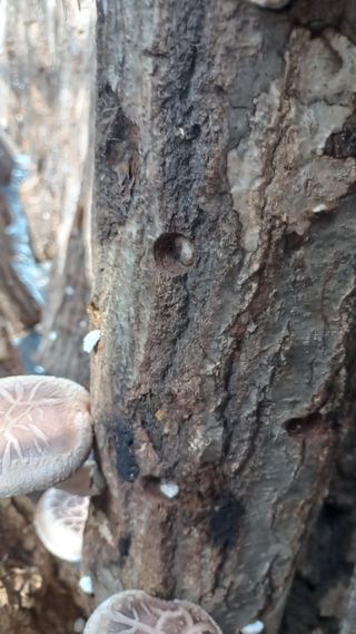 파란농원님의 작성글 사진