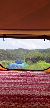 팜모닝 자유주제·자유게시판 게시글 이미지