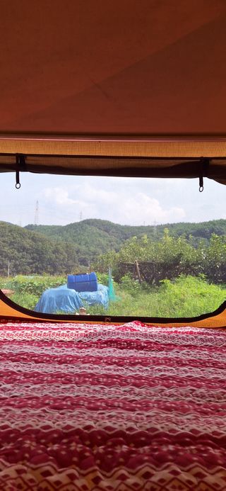 도시농부님의 자유주제 · 자유게시판 작성글 사진