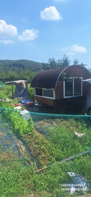 도시농부님의 자유주제 · 자유게시판 작성글 사진