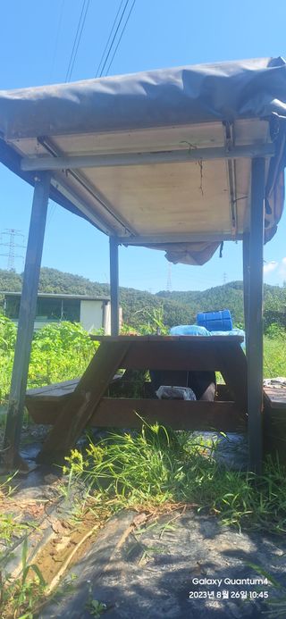 도시농부님의 자유주제 · 자유게시판 작성글 사진