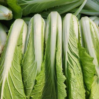 빨간장화농장 김숙자님의 작성글 사진