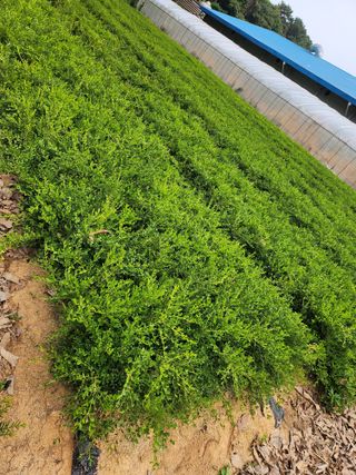 강명선님의 O학년 △반 이세요? · 참여글 작성글 사진