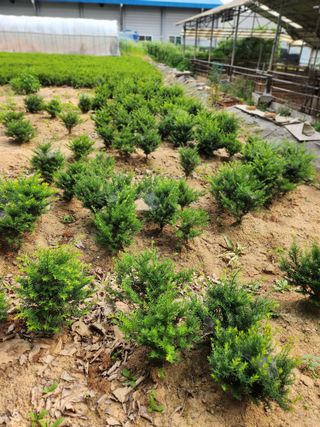 강명선님의 O학년 △반 이세요? · 참여글 작성글 사진