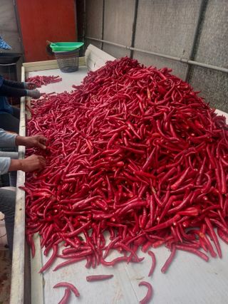 김용철님의 작성글 사진