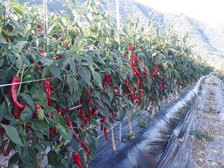 김용철님의 작성글 사진