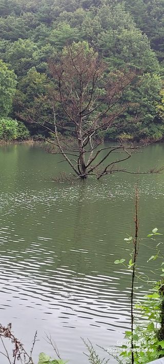 도시농부님의 O학년 △반 이세요? · 참여글 작성글 사진