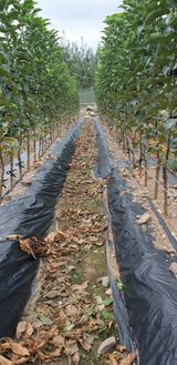 팜모닝 자유주제·자유게시판 게시글 이미지