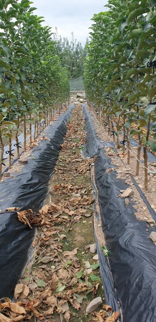 김화순님의 자유주제 · 자유게시판 작성글 사진