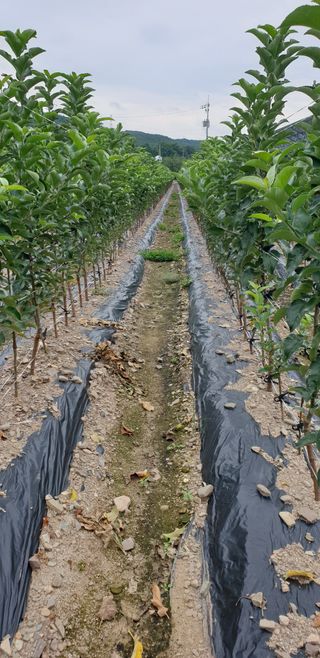 김화순님의 자유주제 · 자유게시판 작성글 사진