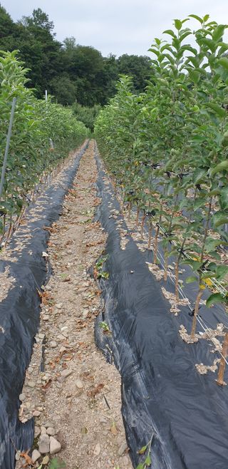 김화순님의 자유주제 · 자유게시판 작성글 사진