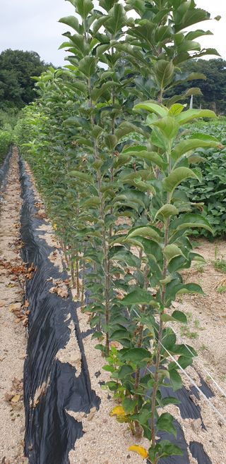 김화순님의 자유주제 · 자유게시판 작성글 사진