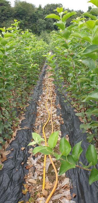 김화순님의 자유주제 · 자유게시판 작성글 사진