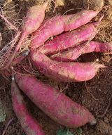 팜모닝 O학년 △반 이세요?·참여글 게시글 이미지