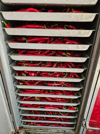 최선희님의 O학년 △반 이세요? · 참여글 작성글 사진