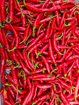 최선희님의 O학년 △반 이세요? · 참여글 작성글 사진