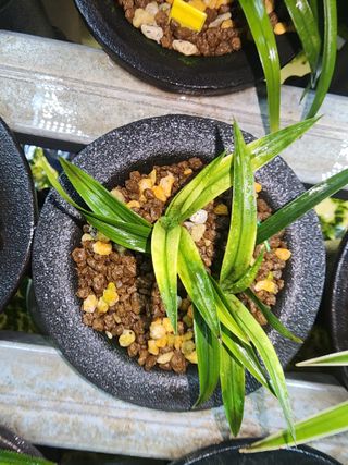 서성철님의 O학년 △반 이세요? · 참여글 작성글 사진