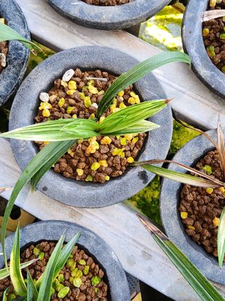 서성철님의 O학년 △반 이세요? · 참여글 작성글 사진