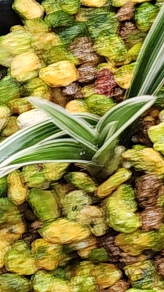 서성철님의 O학년 △반 이세요? · 참여글 작성글 사진