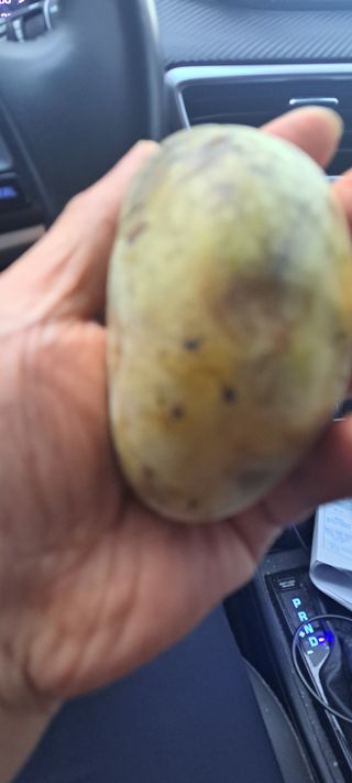 백동감님의 O학년 △반 이세요? · 참여글 작성글 사진