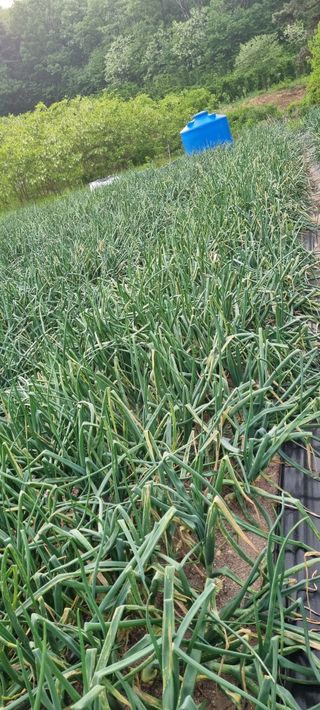 신철승님의 O학년 △반 이세요? · 참여글 작성글 사진